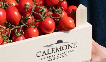 Perché la passata di pomodoro fiaschetto Calemone non deve mancare nelle nostre dispense?